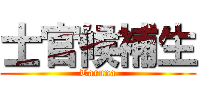 士官候補生 (Taruna)