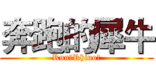 奔跑的犀牛 (Run！Rhino！)