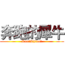 奔跑的犀牛 (Run！Rhino！)
