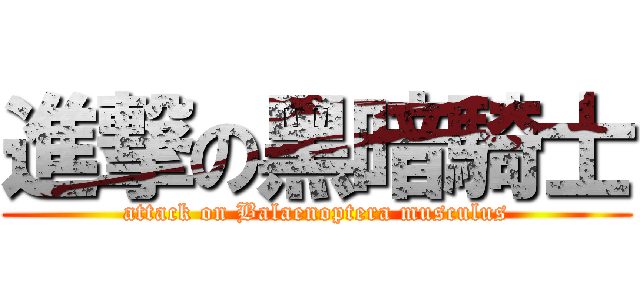 進撃の黑暗騎士 (attack on Balaenoptera musculus)
