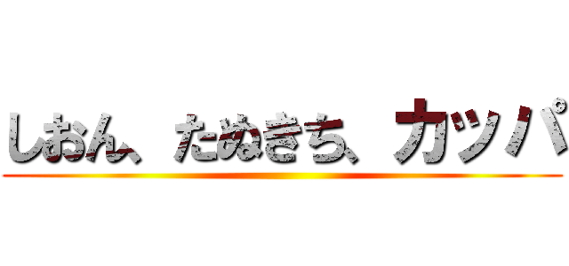 しおん、たぬきち、カッパ ()