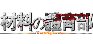 材料の體育部 (Cailiao Tybers)
