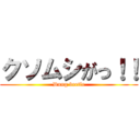 クソムシがっ！！ (Dung beetle)