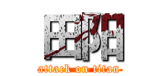 田阳 (attack on titan)