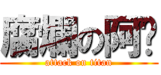 腐爛の阿姬 (attack on titan)
