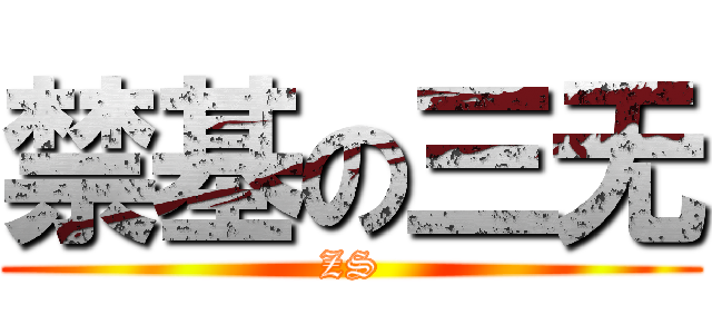 禁基の三无 (ZS)