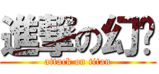 進撃の幻幫 (attack on titan)