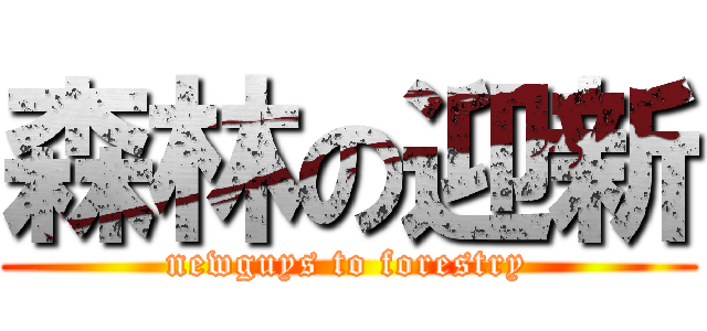 森林の迎新 (newguys to forestry)