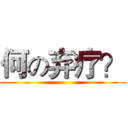 何の弃疗？ ()