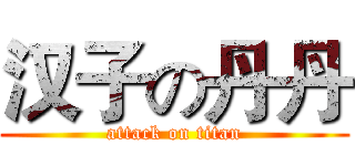 汉子の丹丹 (attack on titan)