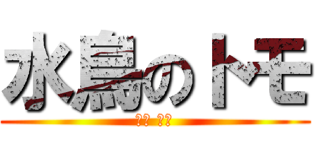 水鳥のトモ (방송 만세)