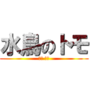 水鳥のトモ (방송 만세)