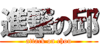 進撃の邱 (attack on chou)