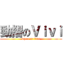勁摺のＶｉｖｉ (where is Vivi)
