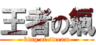 王者の氣 (king of stream)