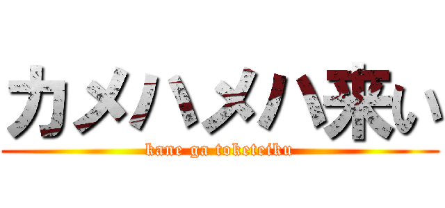 カメハメハ来い (kane ga toketeiku)
