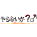やらないか？♂ (Bang ok?)