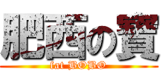 肥西の寶 (fat BOBO)
