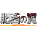 肥西の寶 (fat BOBO)