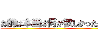 お前は本当は何が欲しかったんだ (....)