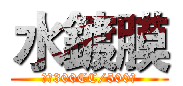 水鍍膜 (一瓶300CC/500元)