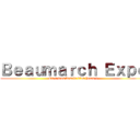 Ｂｅａｕｍａｒｃｈ Ｅｘｐｏ (On a tous besoin d'un héros !)
