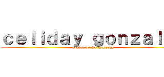 ｃｅｌｉｄａｙ ｇｏｎｚａｌｅｓ (equipo de las mujeres)