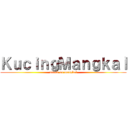 ＫｕｃｉｎｇＭａｎｇｋａｌ (attack on mangkal)