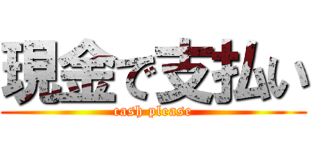 現金で支払い (cash please)