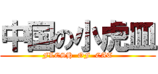 中国の小虎皿 (FLESH  OF  CAT)