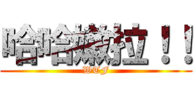 哈哈嫩拉！！ (WTF)