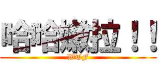 哈哈嫩拉！！ (WTF)