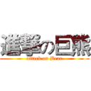 進撃の巨熊 (attack on Bear)
