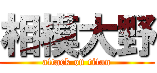 相模大野 (attack on titan)