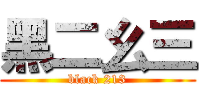 黑二幺三 (black 213)