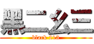 黑二幺三 (black 213)