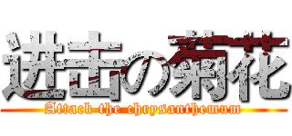 进击の菊花 (Attack the chrysanthemum)