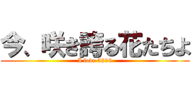 今、咲き誇る花たちよ (I love 5296)