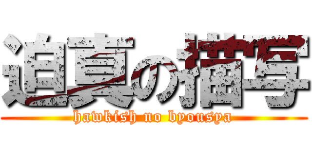 迫真の描写 (hawkish no byousya)