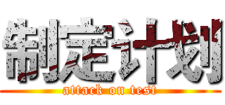 制定计划 (attack on test)