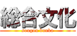 総合文化 (sougou bunka)