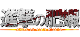 進撃の肥蝦 (attack on giant shrimp)