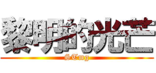 黎明的光芒 (STmg)