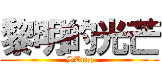 黎明的光芒 (STmg)