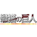 戀猫の巨人 (attack on titan)