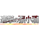 進撃の張小涵 (6666666)