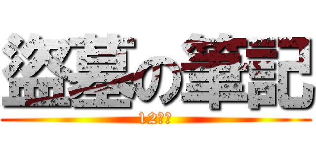 盜墓の筆記 (12妹子)