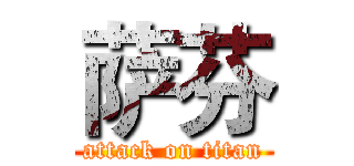 萨芬 (attack on titan)
