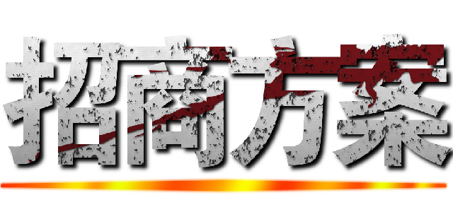招商方案 ()