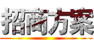 招商方案 ()